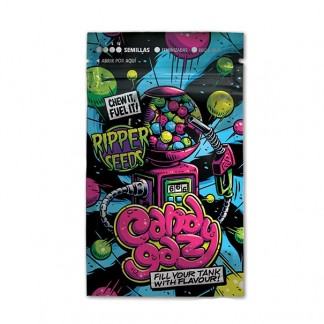 CandyGaz Semillas Feminizadas de Marihuana