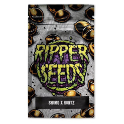 Shimo x Runtz Edición Limitada | Semillas feminizadas Ripper Seeds