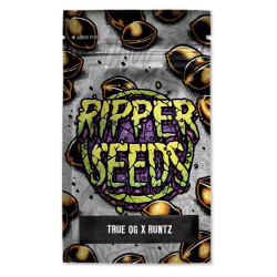 True OG x Runtz Edición Limitada | Semillas feminizadas Ripper Seeds